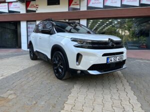 Profesyonel araç kaplama