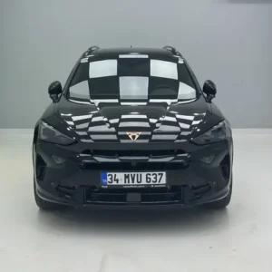 Çupra Boya koruma
